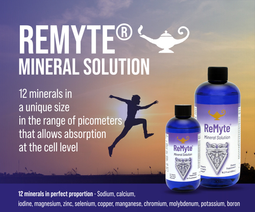 ReMyte - Mineral Solution | Dr. Dean's Pico-Ionic Multiple Minerals - 240ml